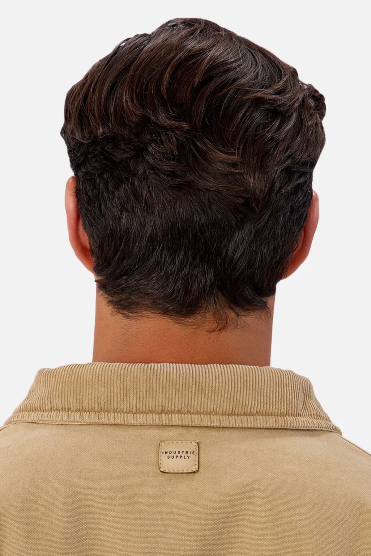 A person with short, wavy dark brown hair is seen from behind wearing the Industrie The Tennesse Jacket—a men's casual tan 100% cotton corduroy jacket with a small rectangular label at the collar. The background is plain white.