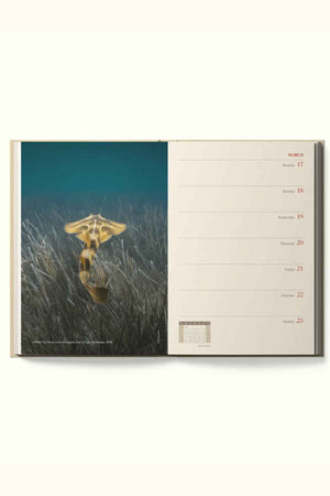 The open RM Williams Outback Diary 2025 shows an angel shark swimming above underwater grass on the left, with a weekly calendar for March 17–23 and red dates on the right.