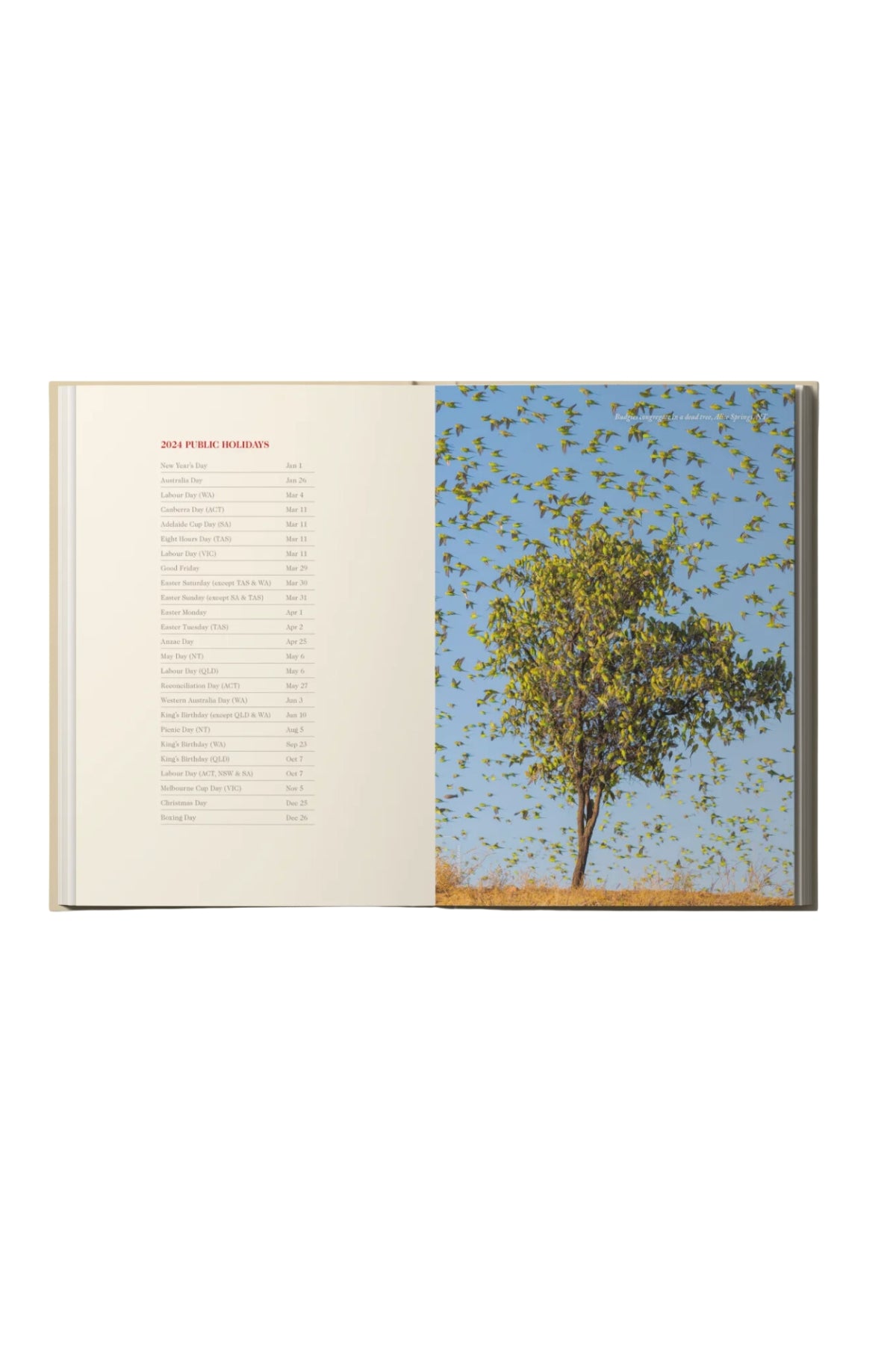 An open, premium hardcover RM Williams Outback Diary 2024 displays a contents list on the left and a striking photo of a tree beneath a blue sky filled with birds in flight on the right, embodying the diary's spirit.