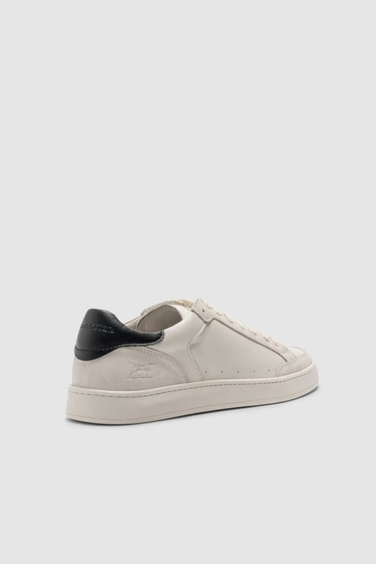The Rodd & Gunn Sussex Street Sneaker is a white low-top with a black heel tab, subtle stitching, perforated details, a comfy leather lining, and a rubber outsole, displayed on a light gray background.