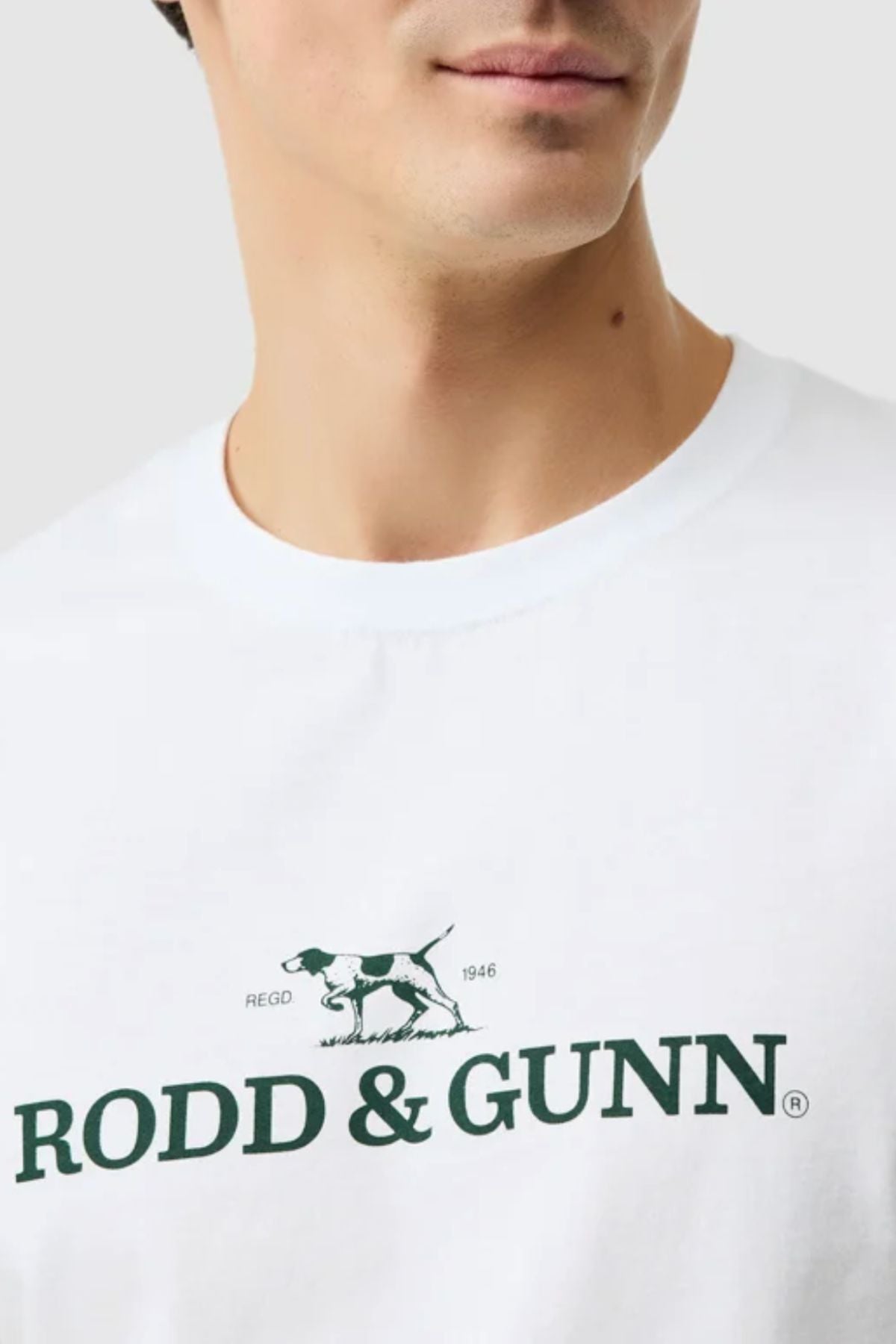 A person wears the Rodd & Gunn The Logo Tee 2.0, a men's 100% cotton sports t-shirt featuring a black and white dog graphic and green "RODD & GUNN" text on the front. Only their lower face and neck are visible.