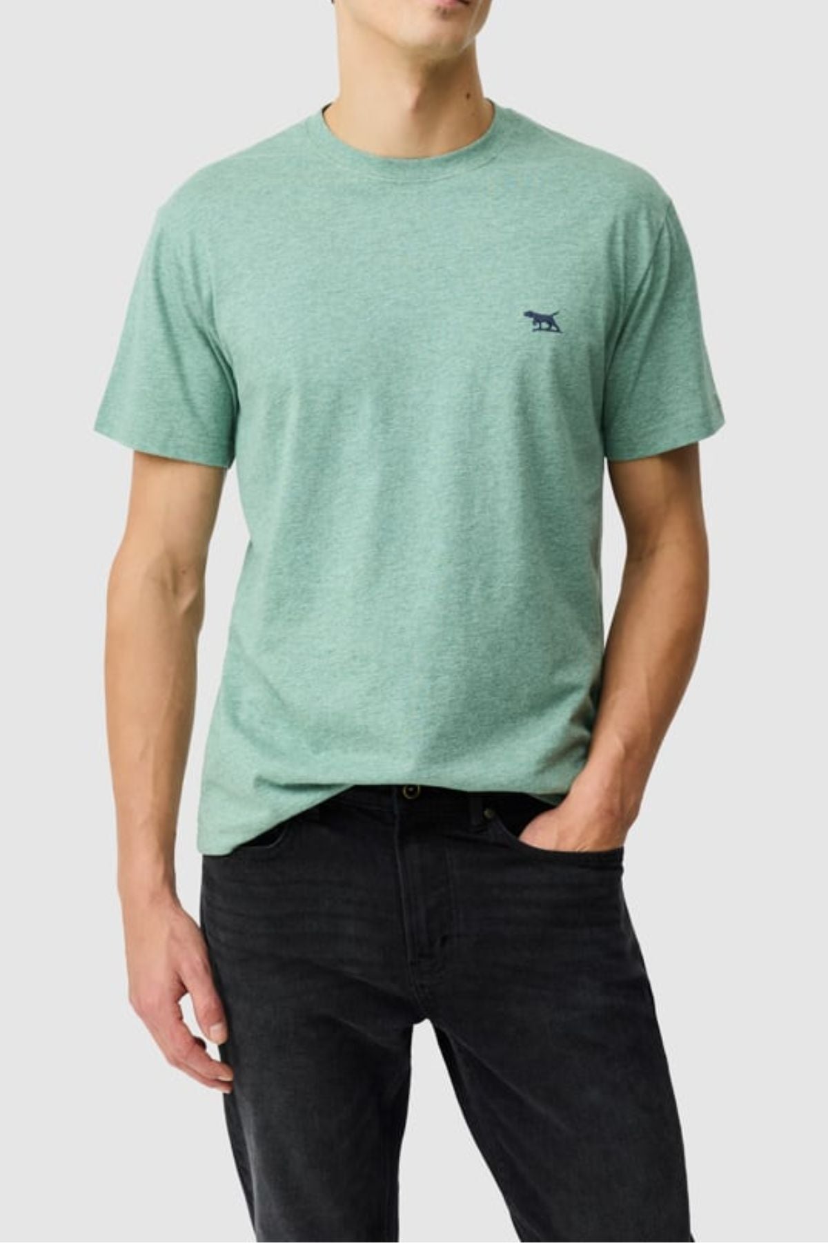 A man stands against a plain light background, wearing the Rodd & Gunn The Gunn Tee 2.0—a light green sports fit jersey tee with a small animal logo on the left chest—and black jeans, one hand in his pocket.