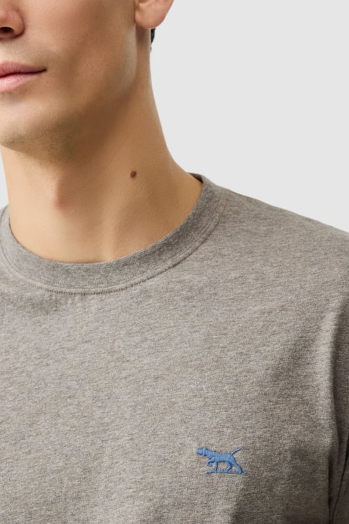 A person wearing the Rodd & Gunn The Gunn Tee 2.0 in gray, a sports fit crew-neck made from breathable jersey with a small blue embroidered animal logo on the chest. Only the lower face, neck, and upper torso are visible.