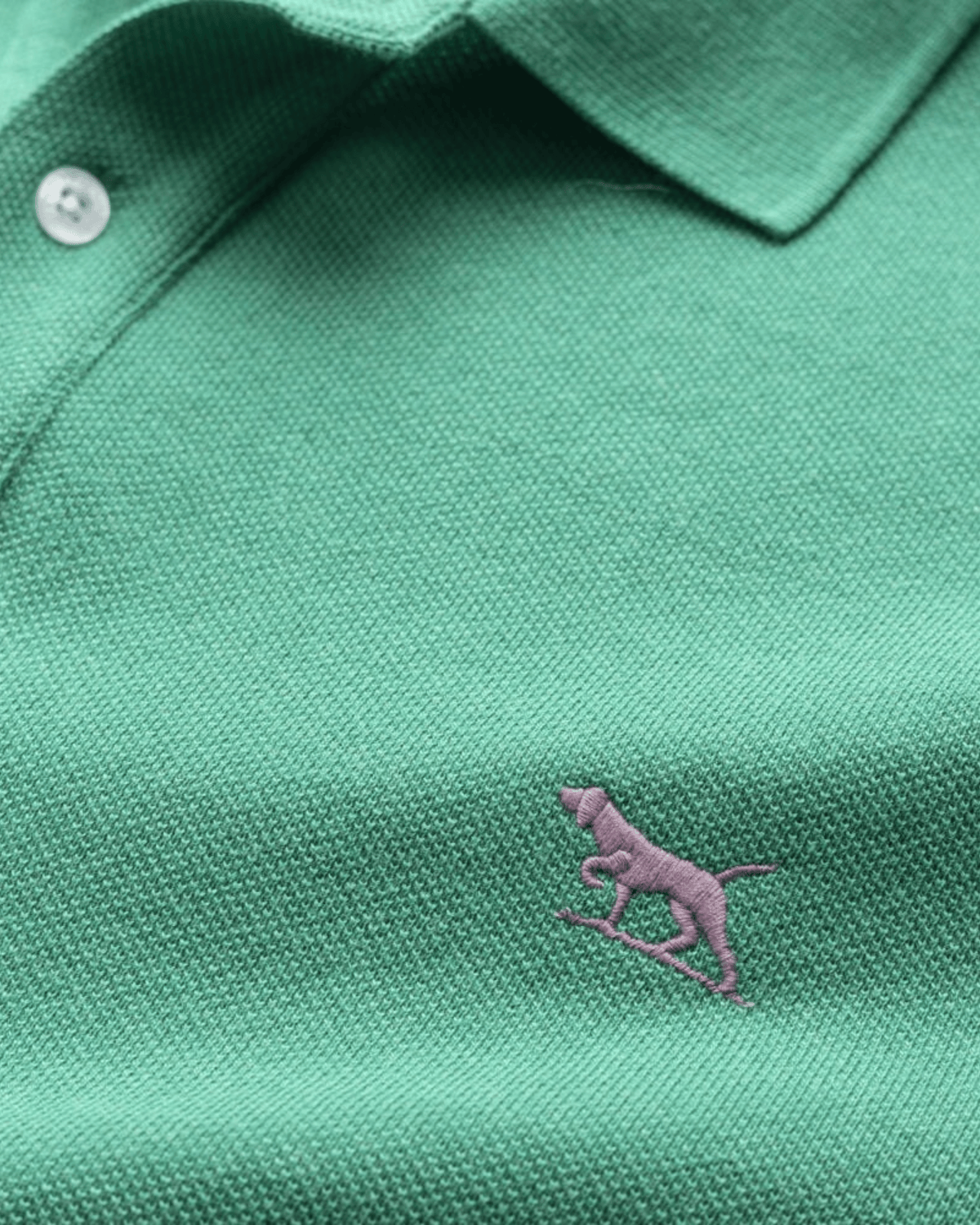 Close-up of Rodd & Gunn's The Gunn Polo, a modern fit in green, made from Australian cotton. It features textured fabric, visible buttons, and a purple embroidered standing dog logo on the front.