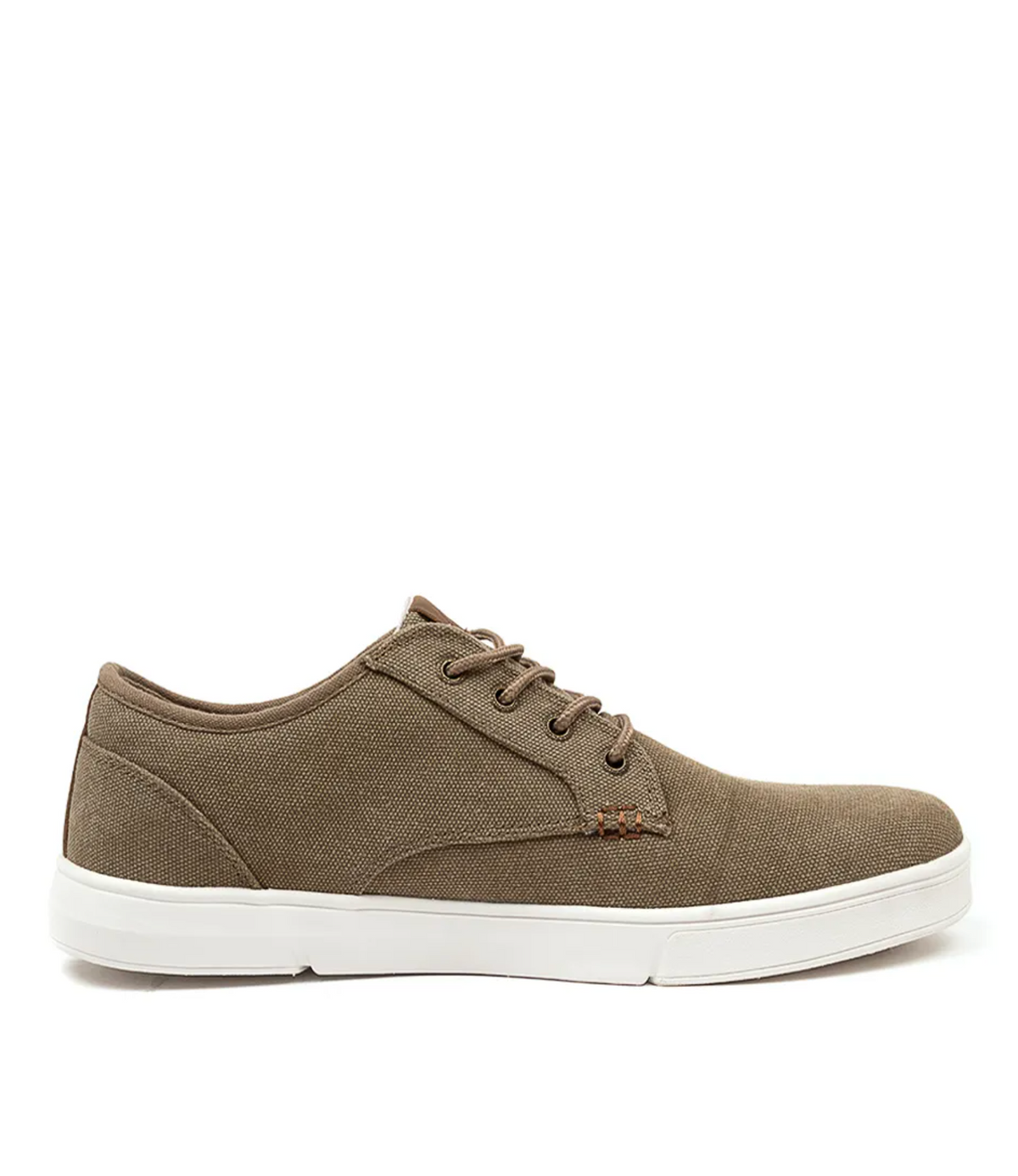 The Colorado Albatross Canvas Sneaker is shown in side profile against a plain white background, featuring a brown canvas upper with matching laces, a white rubber sole, and memory foam for all-day comfort.