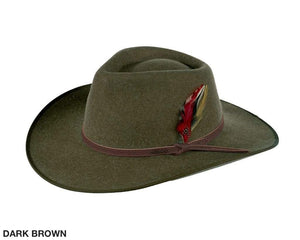The Outback Cooper River Wool Hat is a dark brown cowboy hat with a wide brim, featuring a brown band and a red feather on the side. "DARK BROWN" is written in black text at the bottom left corner.