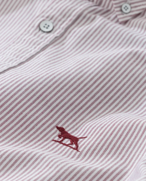 Close-up of a Rodd & Gunn Oxford Stripe Sports Fit Shirt, featuring diagonal maroon and white stripes with a small embroidered maroon polo player logo on 100% cotton fabric. Two white buttons are visible at the top.