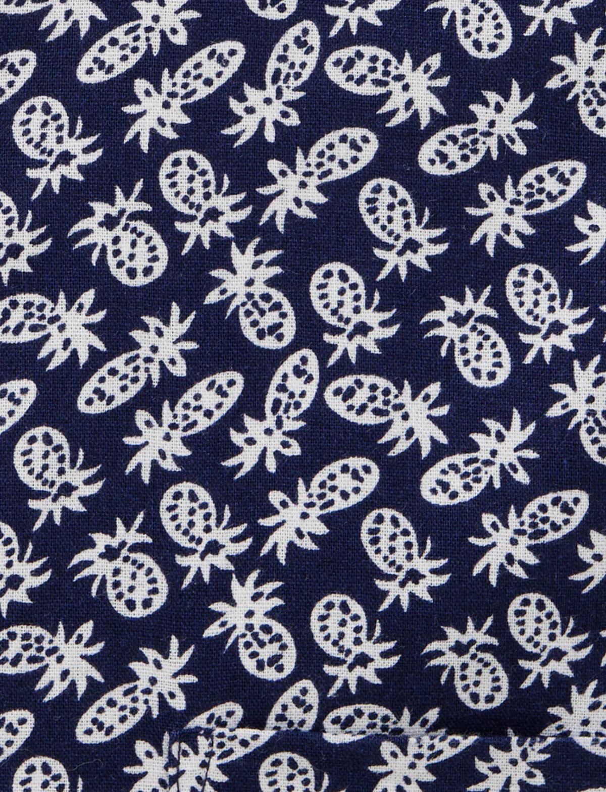 Blazer Pineapple Print Shirt
