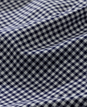 A close-up of the 100% cotton blue and white gingham fabric with a small check pattern reminiscent of a classic Rodd & Gunn Superfine Gunn Check Oxford Sports Fit Shirt, creating gentle waves and shadows that highlight its texture.