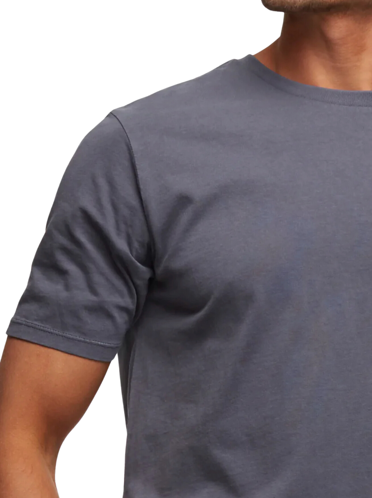 A person models the Industrie The Basic Classic Tee in gray—short sleeves, timeless fit. Only their upper body and part of their face are visible against a white background.