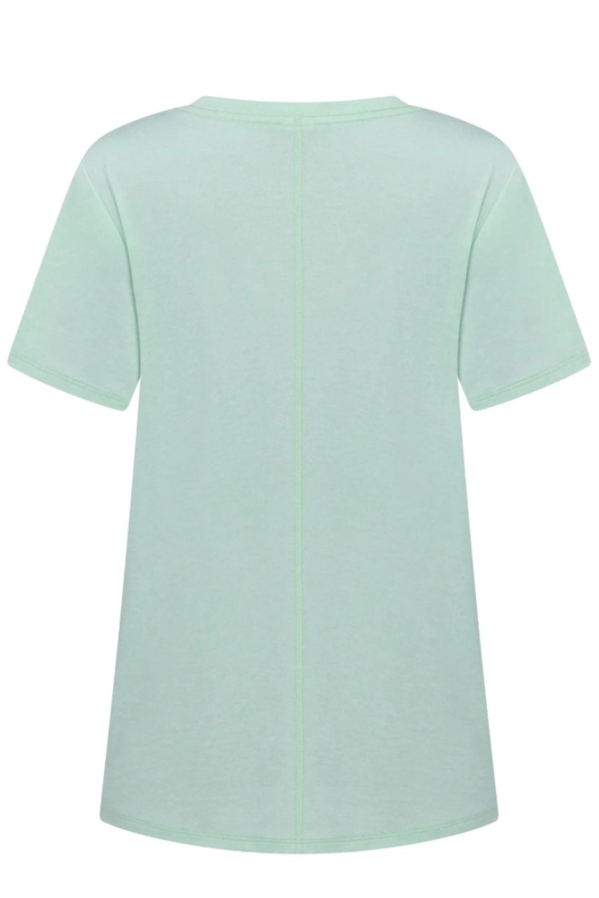Back view of the Lorna Jane Amy Dynamic Active T-Shirt, a plain light mint green women's workout top with a central vertical seam, round neckline, quick-drying fabric, and no visible patterns or logos.