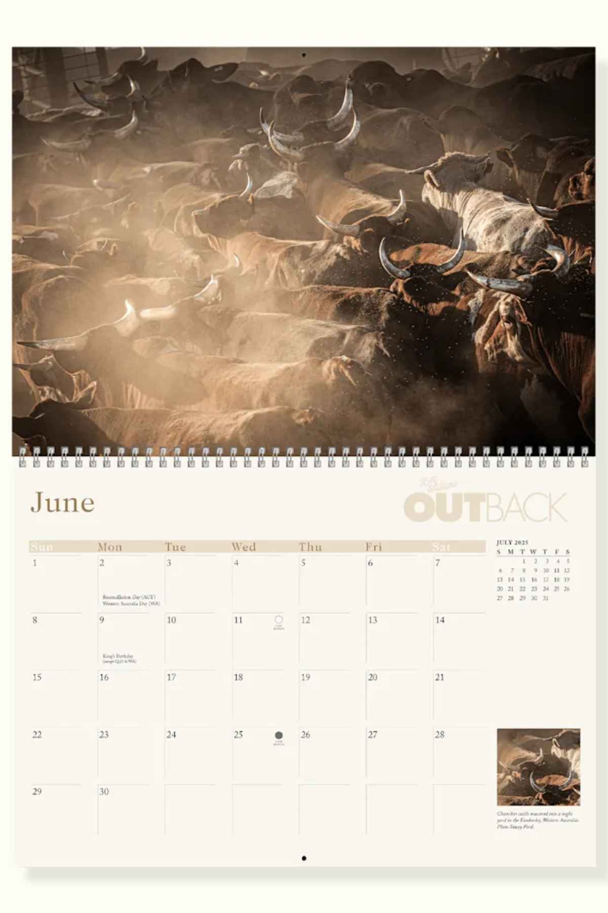 The June page of the 2025 RM Williams Outback Calendar features cattle in a sunlit field by renowned Australian photographers, with a date grid and "Outback" branding prominently displayed in the top corner.