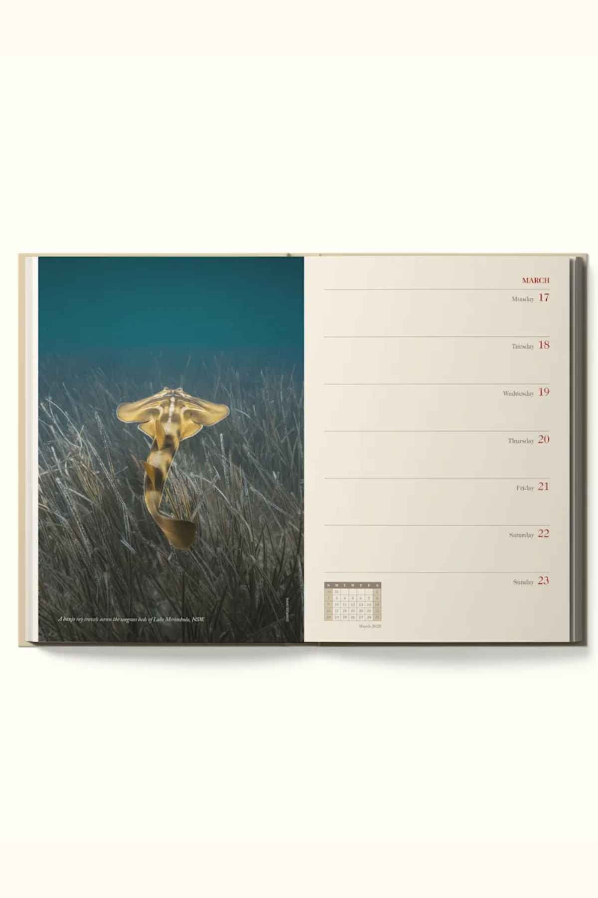 The open RM Williams Outback Diary 2025 shows an angel shark swimming above underwater grass on the left, with a weekly calendar for March 17–23 and red dates on the right.