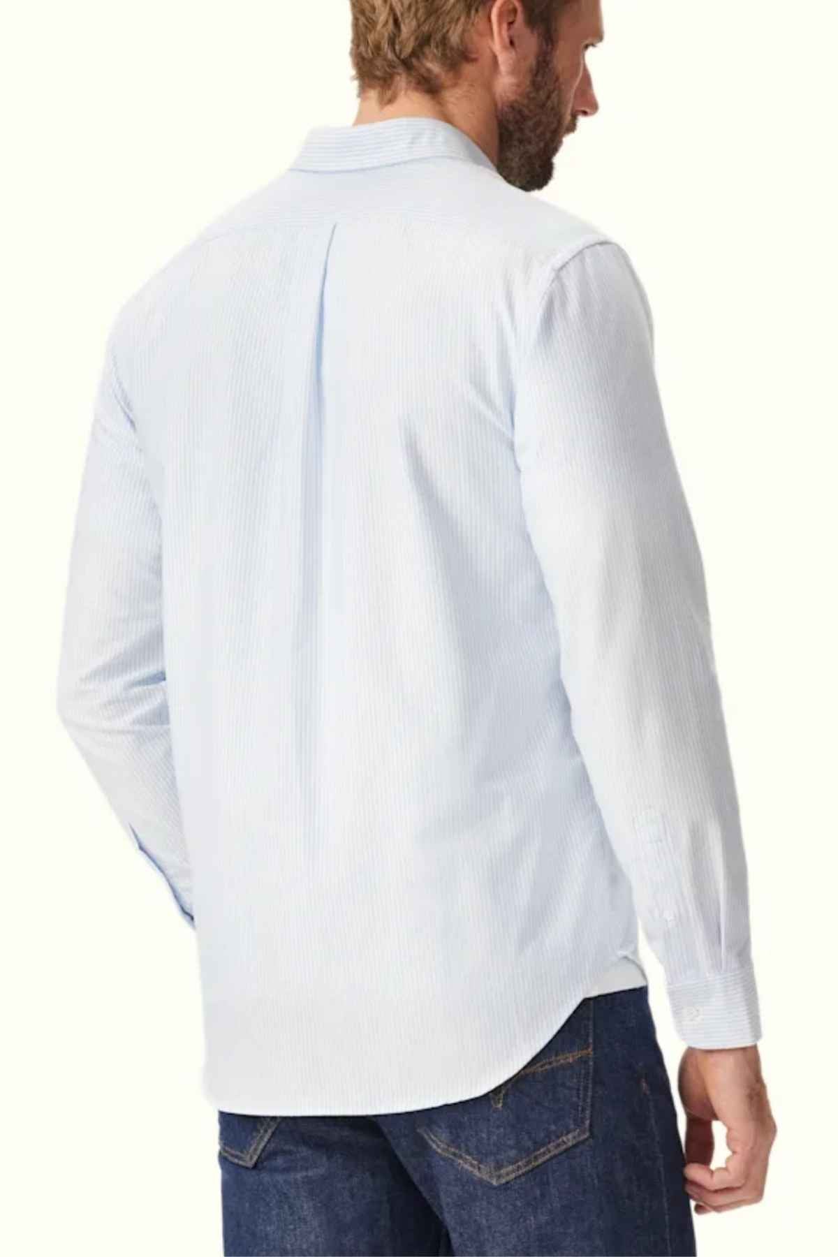 A person with short, light-colored hair is shown from the back, wearing a long-sleeved RM Williams Regular Shirt in light blue and dark blue jeans. The shirt, made of organic cotton, features a slimmer cut with subtle vertical stripes and a pleat at the center of the back.