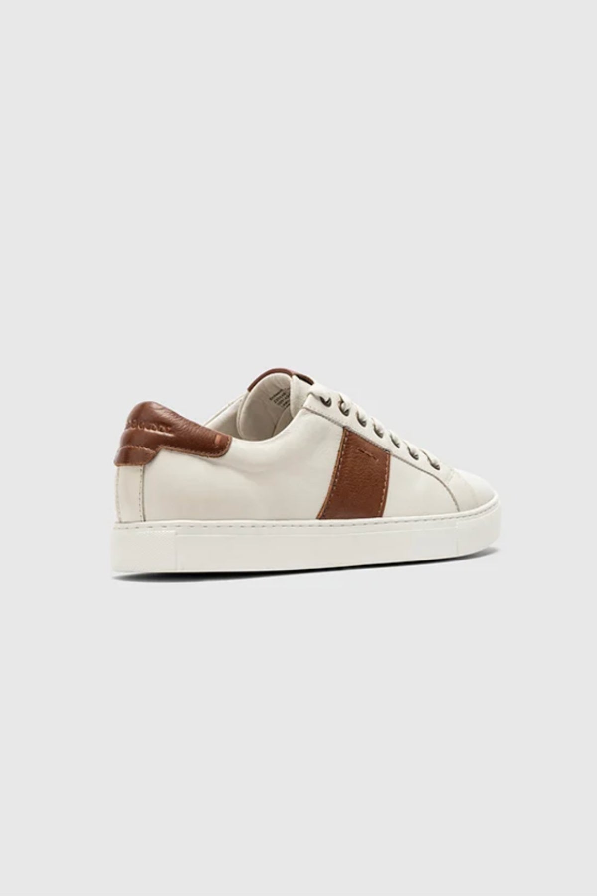 The Rodd & Gunn Endeavour Cruise Sneaker is a white low-top shoe featuring brown leather accents on the heel and side stripe, white laces, and a white sole, shown against a plain light gray background.