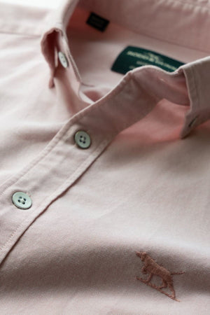 A close-up of the Rodd & Gunn Gunn Oxford Sports Fit Shirt in pale pink, made from 100% cotton, with white buttons and a small embroidered animal logo on the front. The shirt label is partially visible inside the collar.