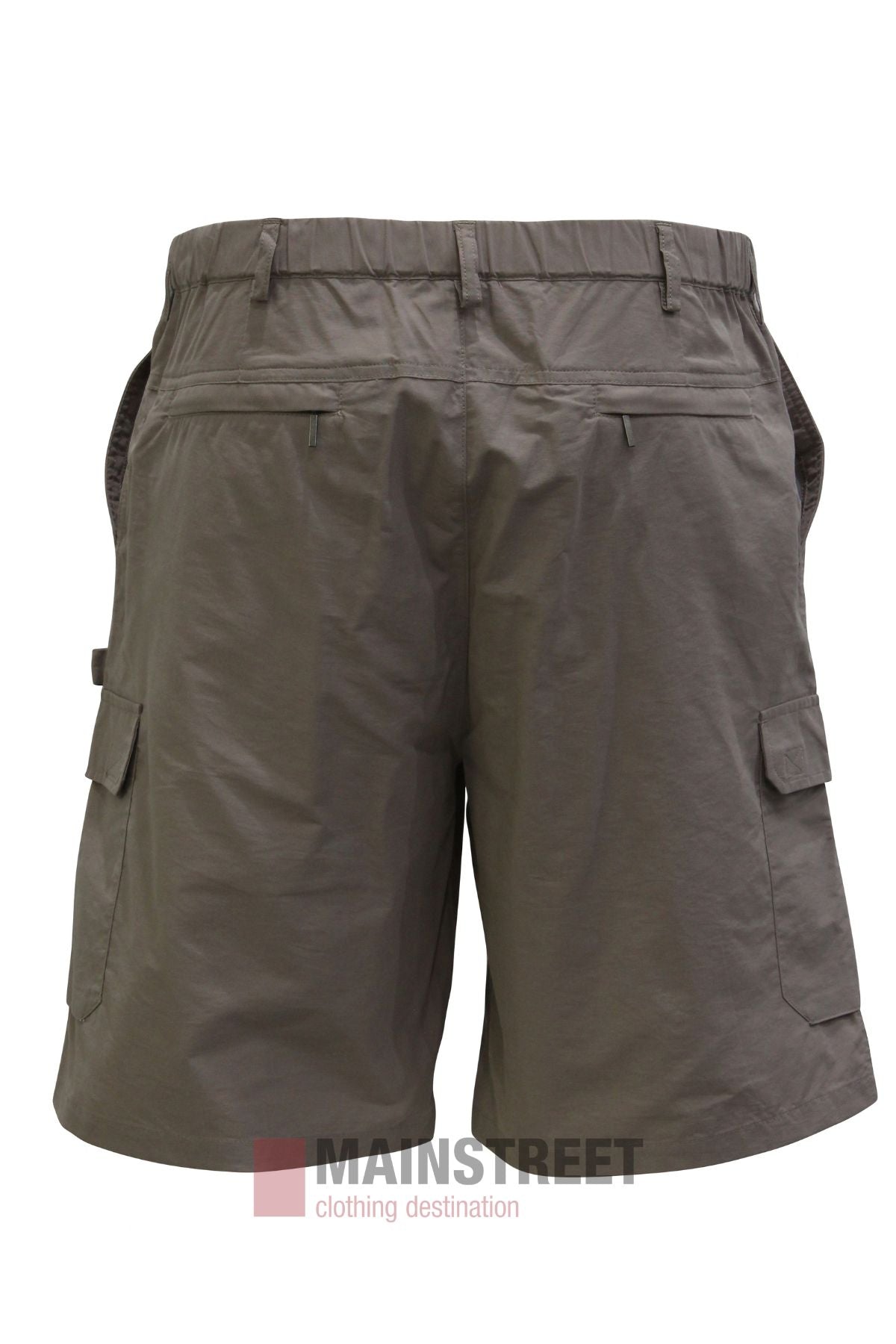 Back Bay Explorer Short