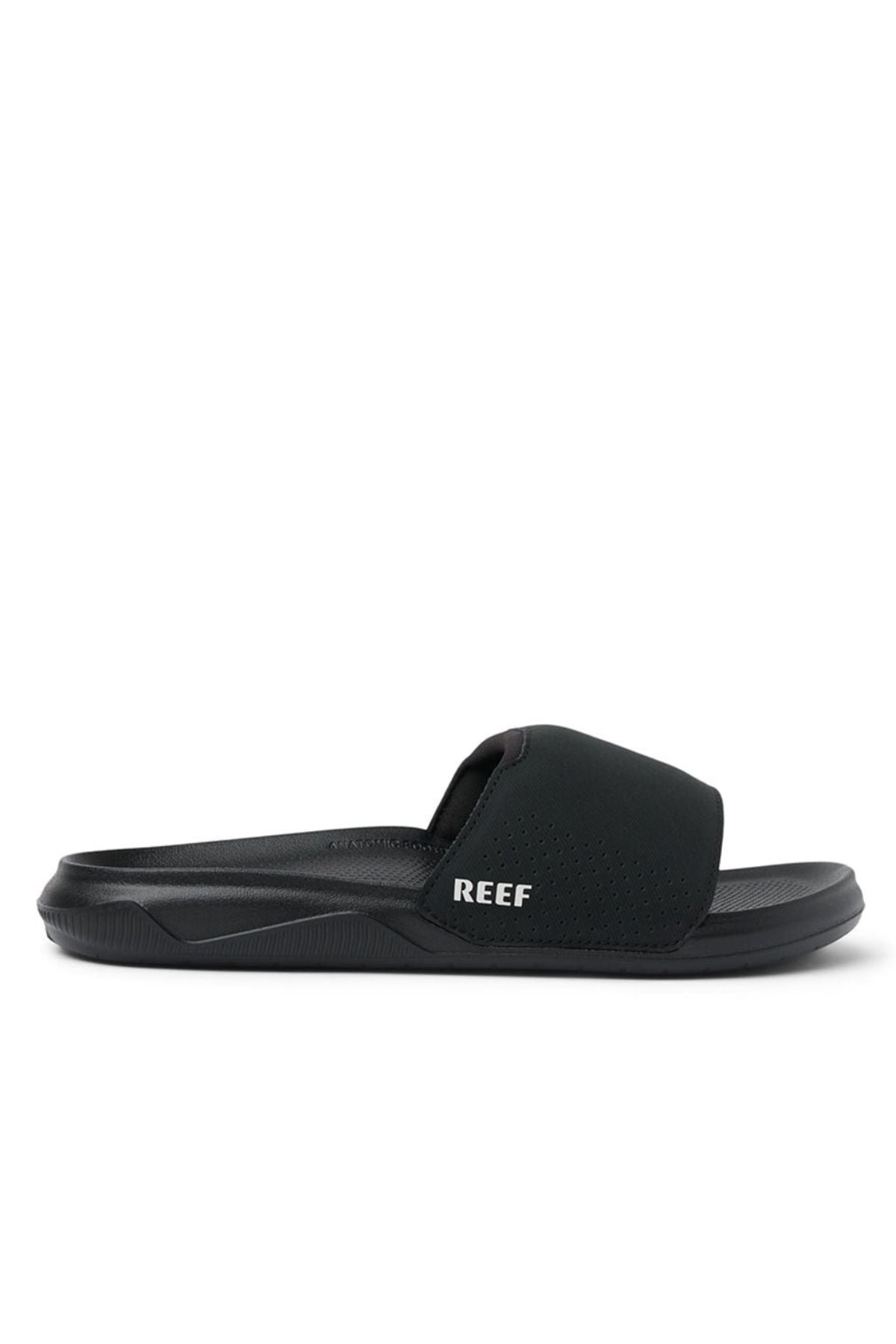 REEF Tail Slide