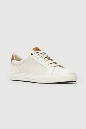 The Rodd & Gunn Transit Sneaker is a low-top white shoe with a canvas upper, white laces, and tan premium leather accents on the tongue and heel, displayed against a plain light gray background.