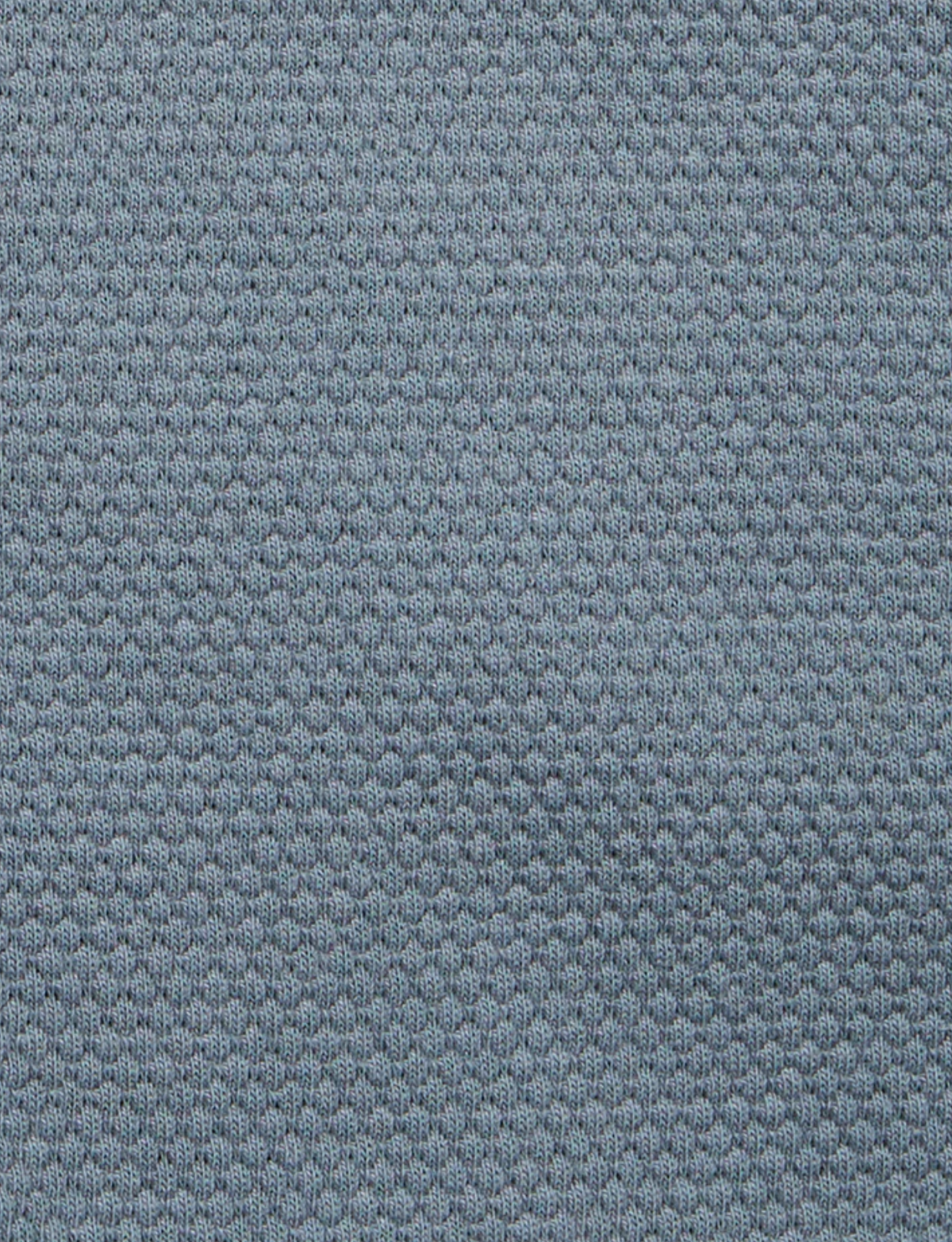 Blazer Carter Textured Polo