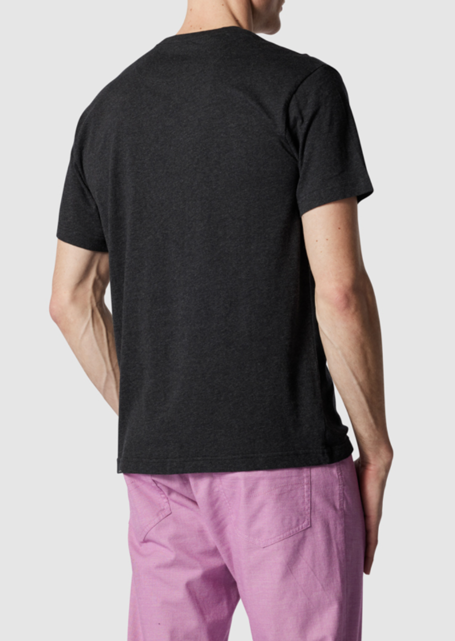 A person wears a comfortable Rodd & Gunn The Gunn T-Shirt in dark gray and pink pants, standing with their back to the camera against a light gray backdrop, one arm slightly bent.