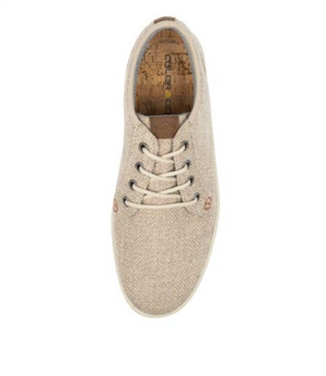 A top view of the Colorado Albatross Canvas Sneaker reveals a wide-fit beige design with a textured surface, five eyelets, and matching laces. Inside, a cork insole complements the memory foam inner sole for comfort. A small brown detail enhances the area near the toe.