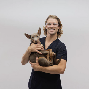 A long-haired person wearing SafeStyle Cruisers Clear Frame Clear Lens glasses smiles, holding a relaxed dog with pointy ears. They are in dark scrubs against a plain white background.